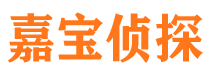 乐清市调查公司